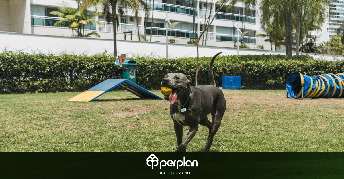 Pets-ganham-protagonismo-e-influenciam-o-mercado-imobiliario-brasileiro