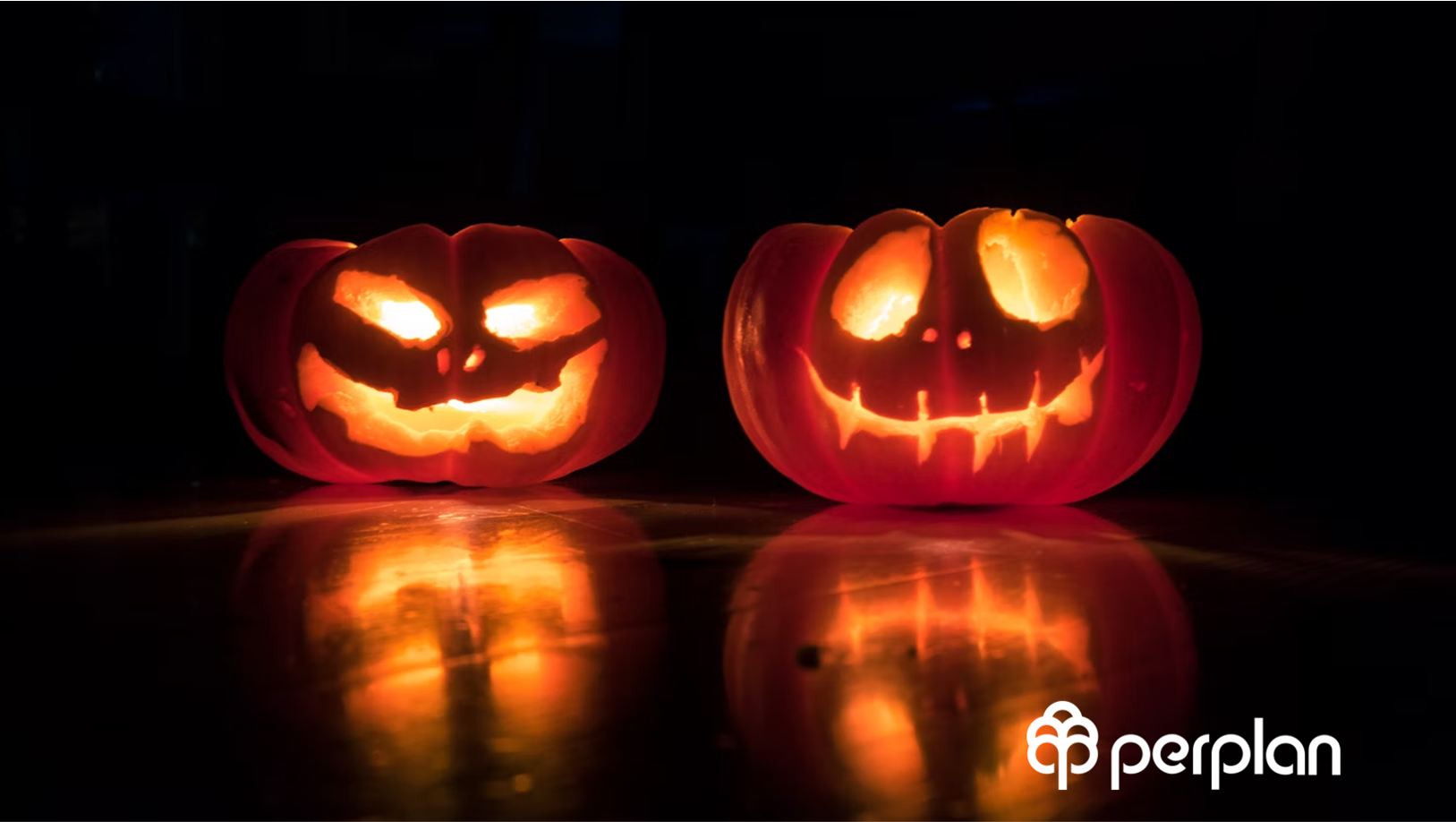Tendencias-de-Decoracao-para-o-Halloween-2024-1
