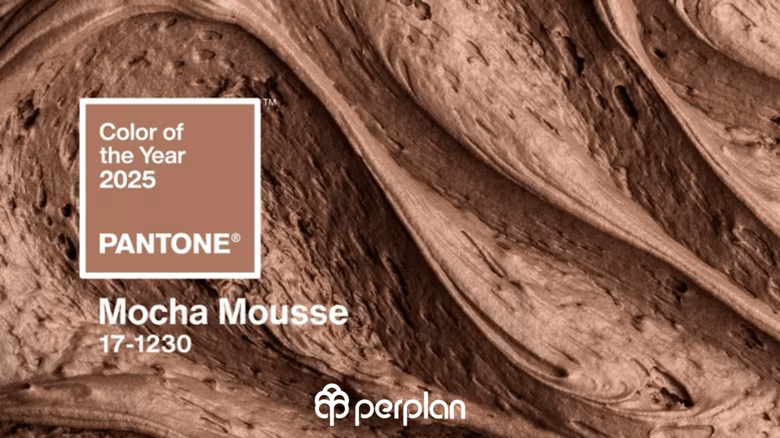 PANTONE-17-1230-Mocha-Mousse-elegancia-e-versatilidade-na-decoracao-do-lar-1