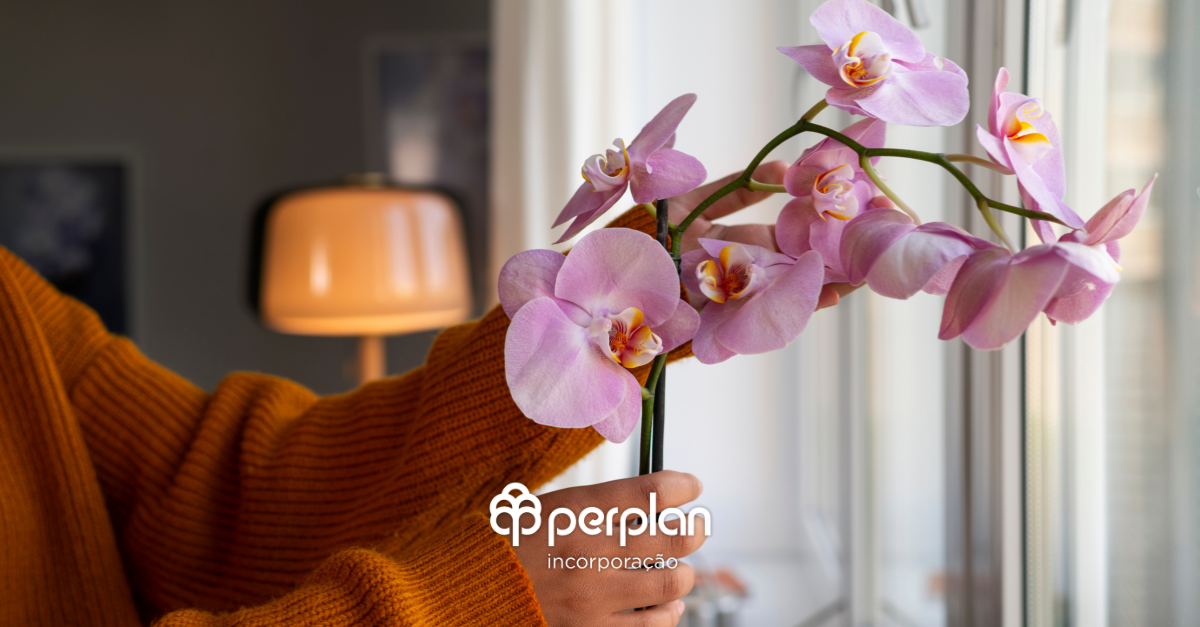 Como-cuidar-de-orquideas-dicas-para-manter-suas-flores-sempre-lindas