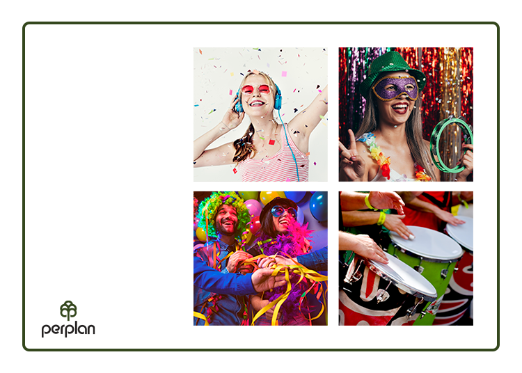 banner-carnaval